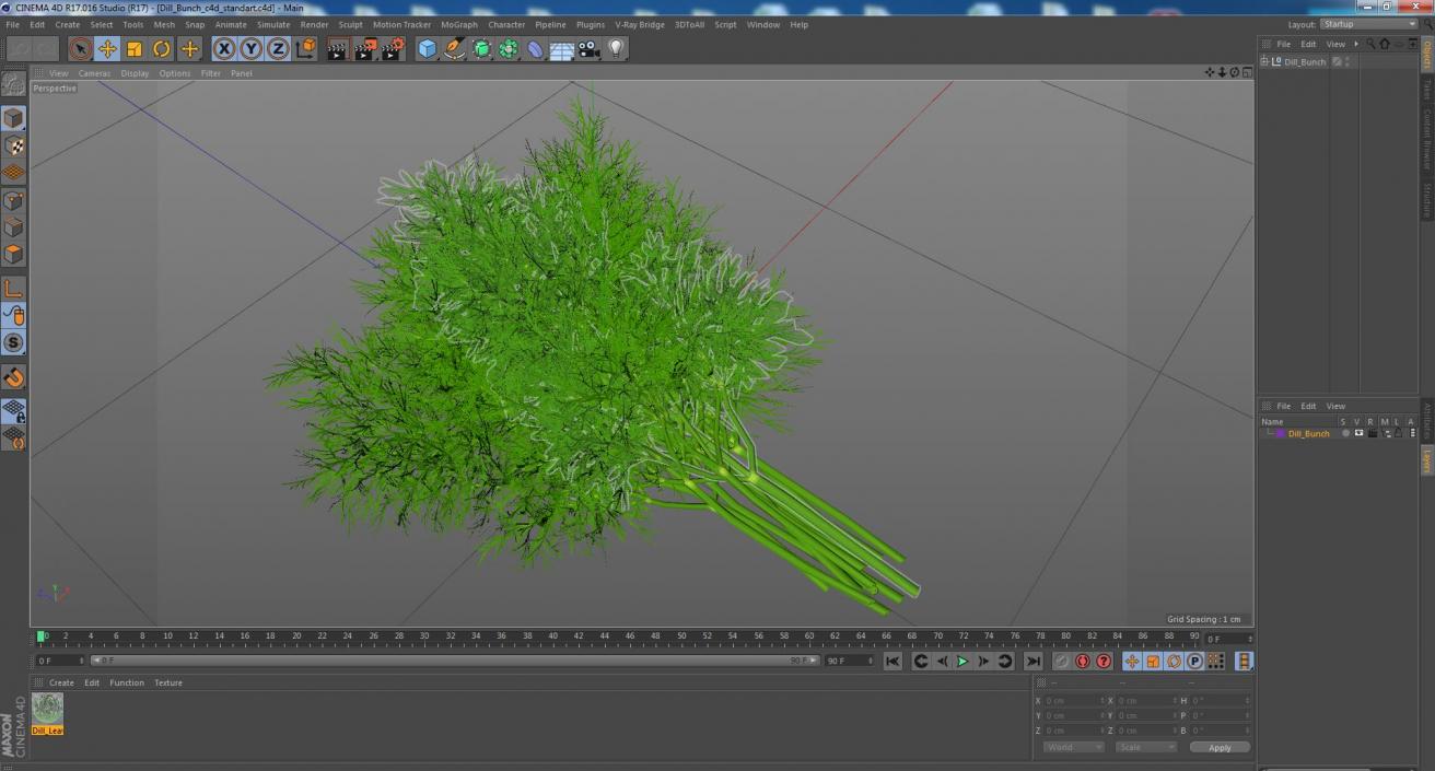 3D model Dill Bunch