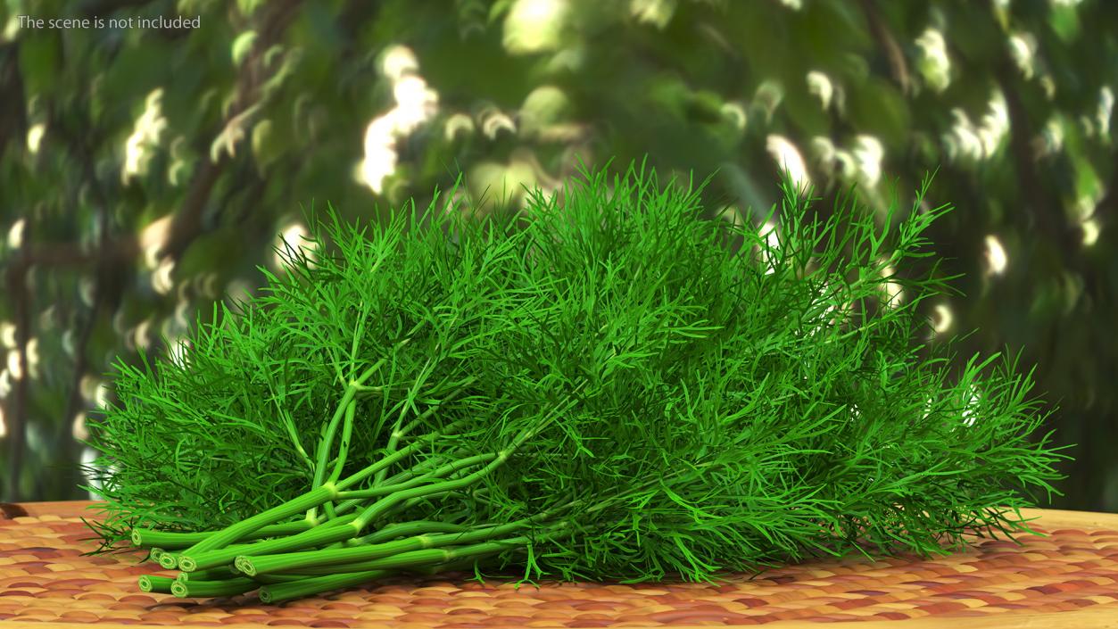 3D model Dill Bunch