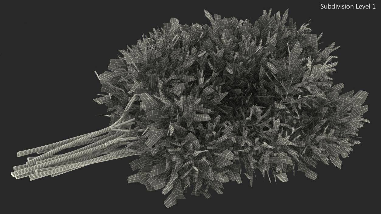 3D model Dill Bunch