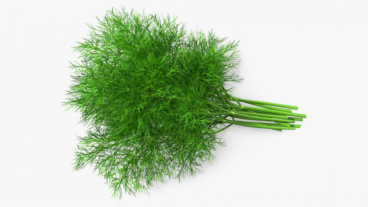 3D model Dill Bunch