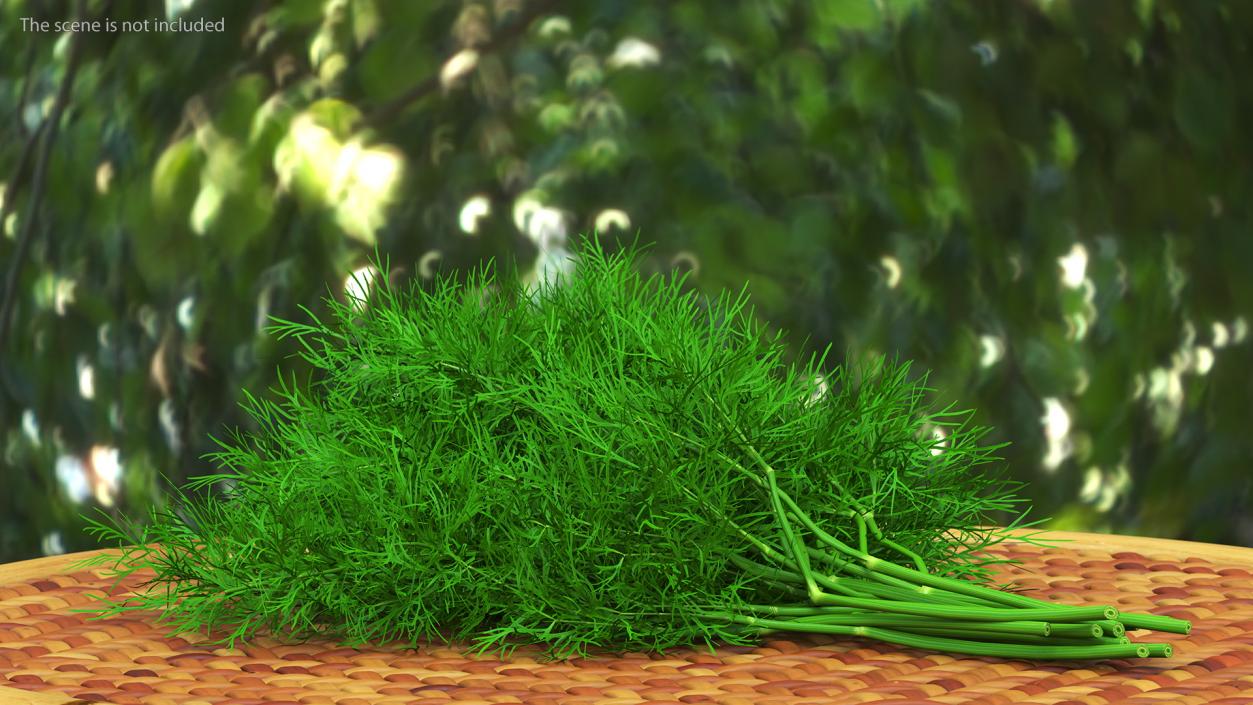 3D model Dill Bunch