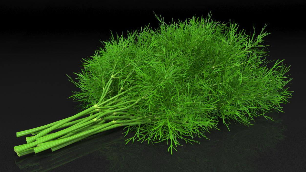 3D model Dill Bunch