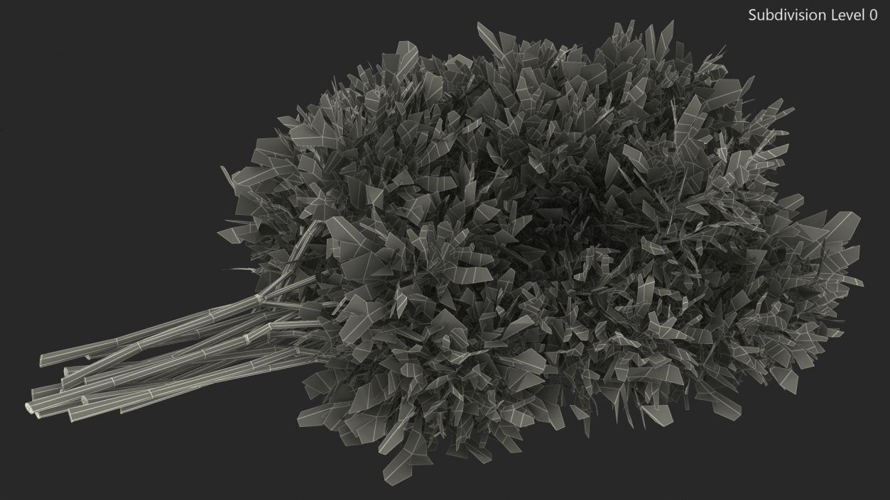 3D model Dill Bunch