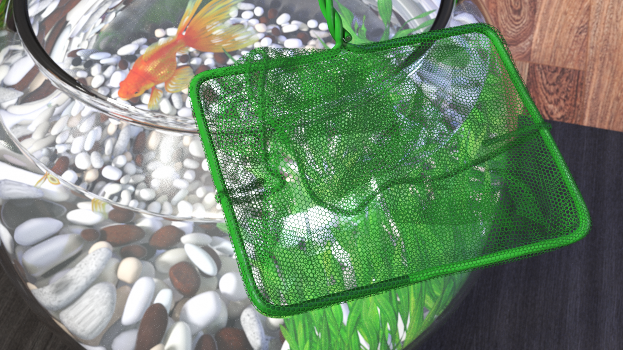 Aquarium Fish Net 3D