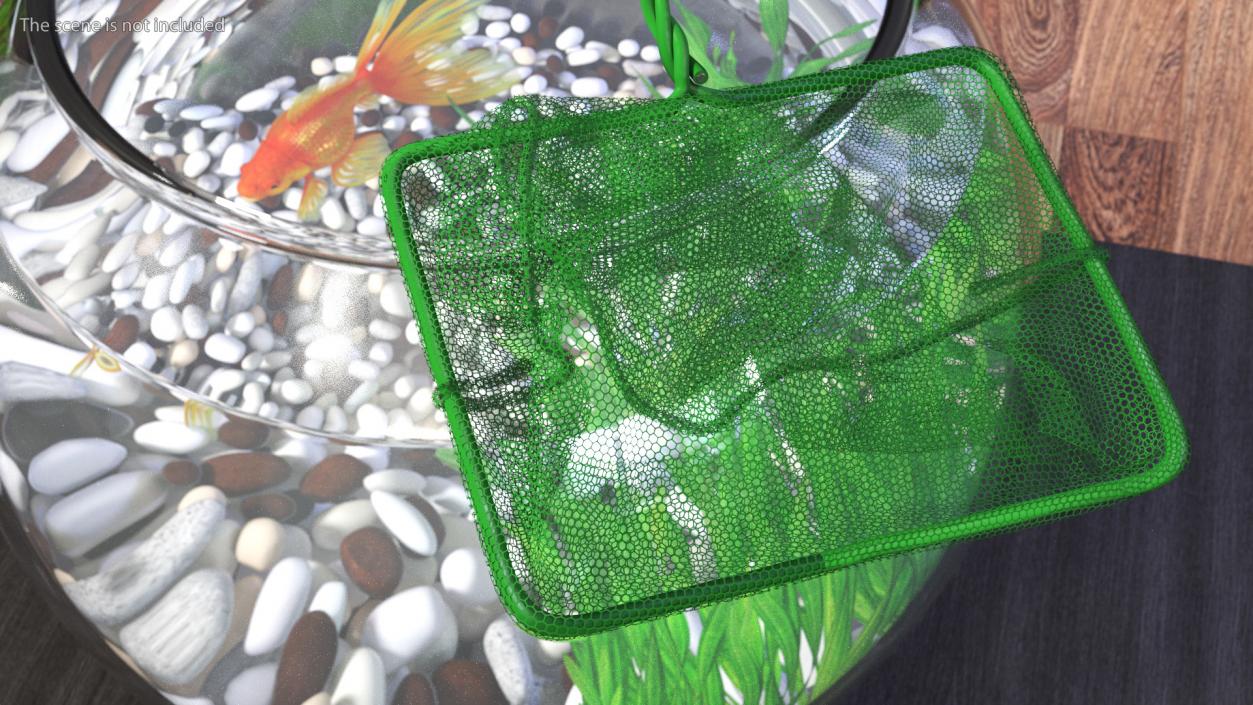 Aquarium Fish Net 3D