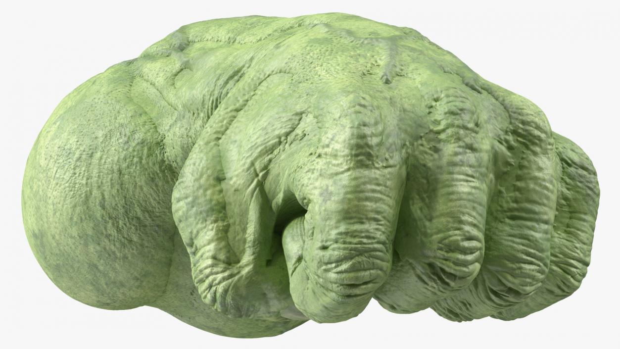 3D model Hulk Hands Fist