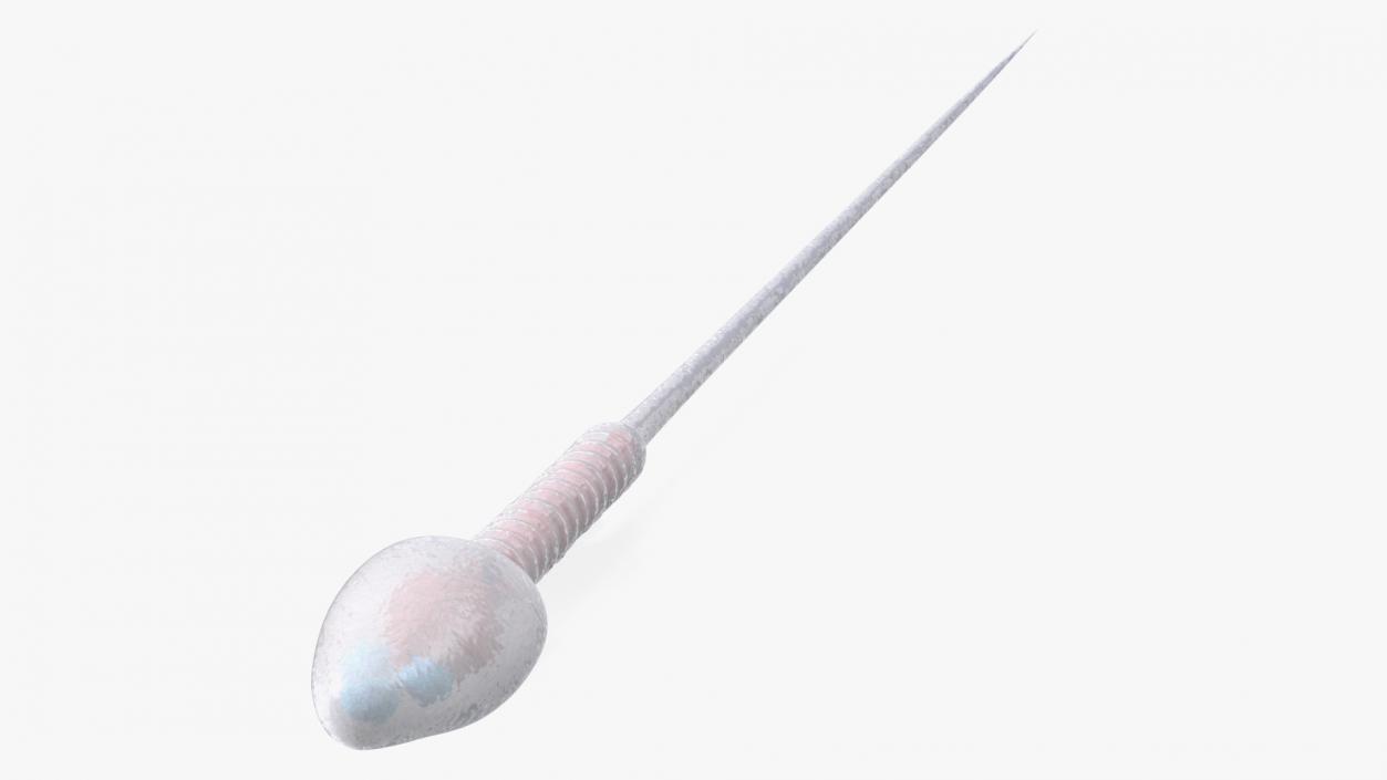 3D Human Sperm Cell