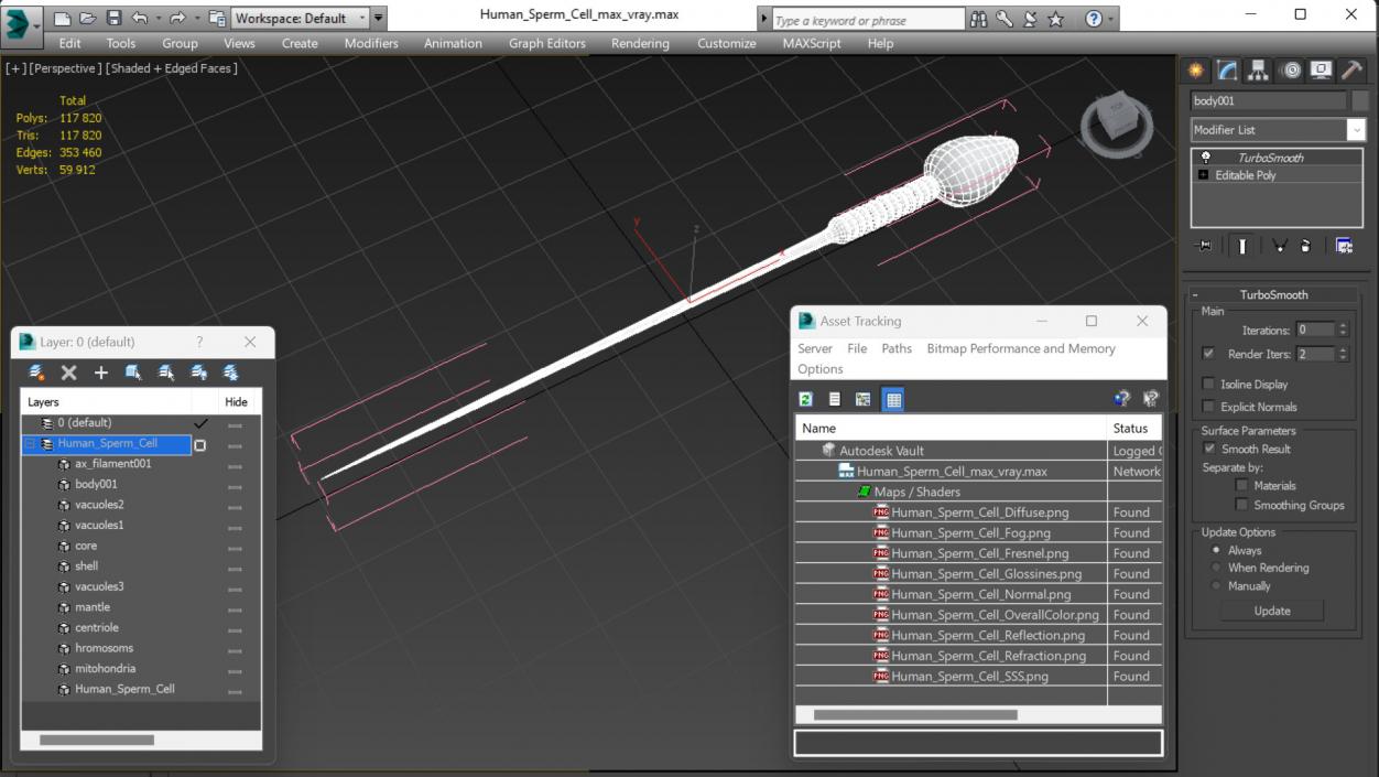 3D Human Sperm Cell