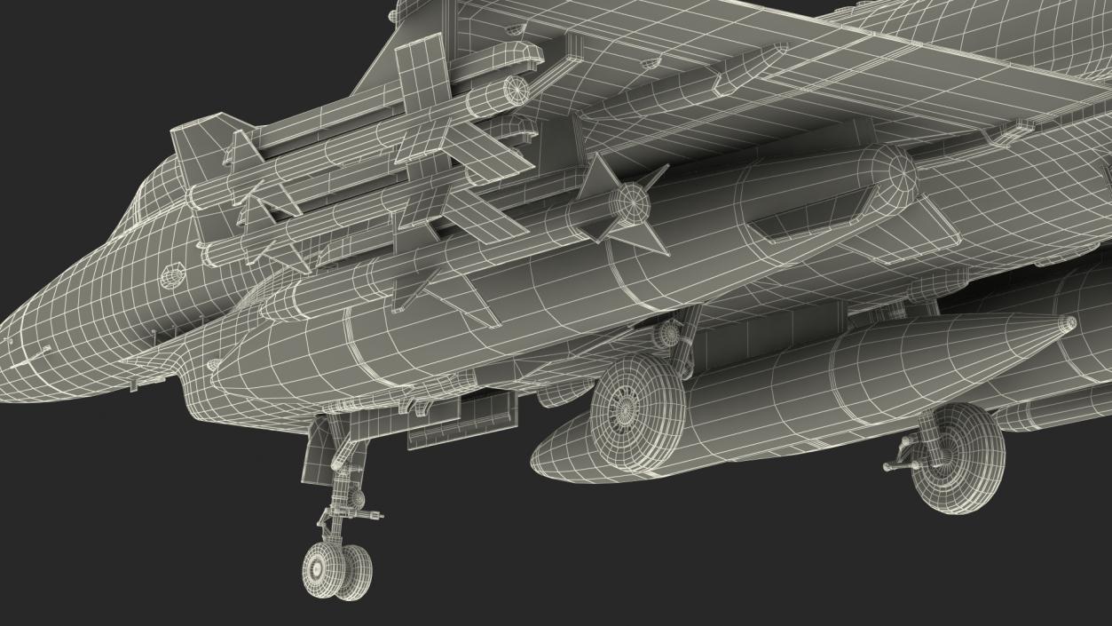 3D Chengdu J10 A Vigorous Dragon Armament model