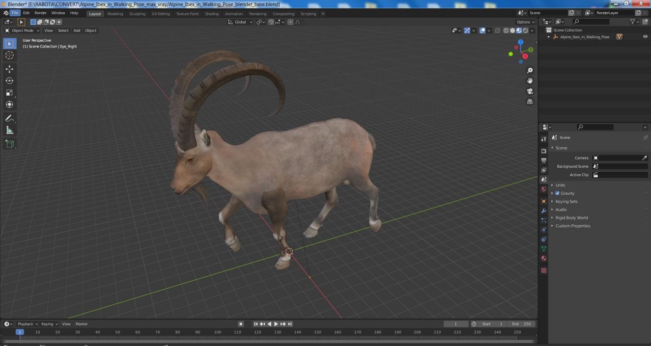 Alpine Ibex in Walking Pose 2 3D model