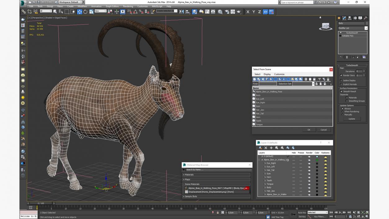 Alpine Ibex in Walking Pose 2 3D model