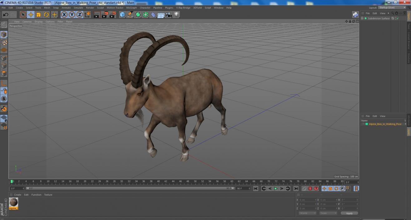 Alpine Ibex in Walking Pose 2 3D model