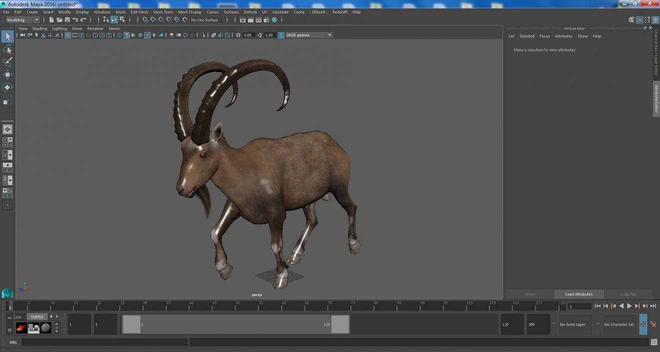 Alpine Ibex in Walking Pose 2 3D model