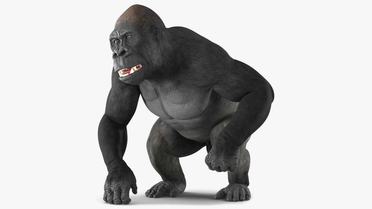 3D Gorilla Animated Rigged model