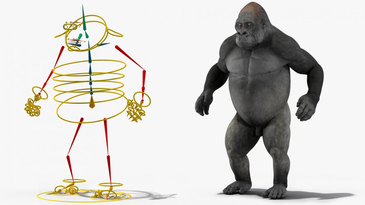 3D Gorilla Animated Rigged model