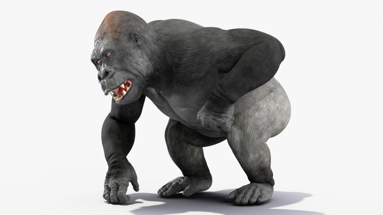 3D Gorilla Animated Rigged model