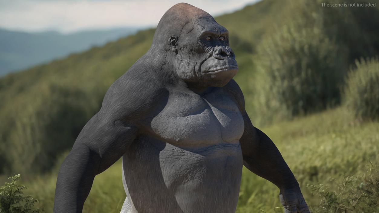 3D Gorilla Animated Rigged model