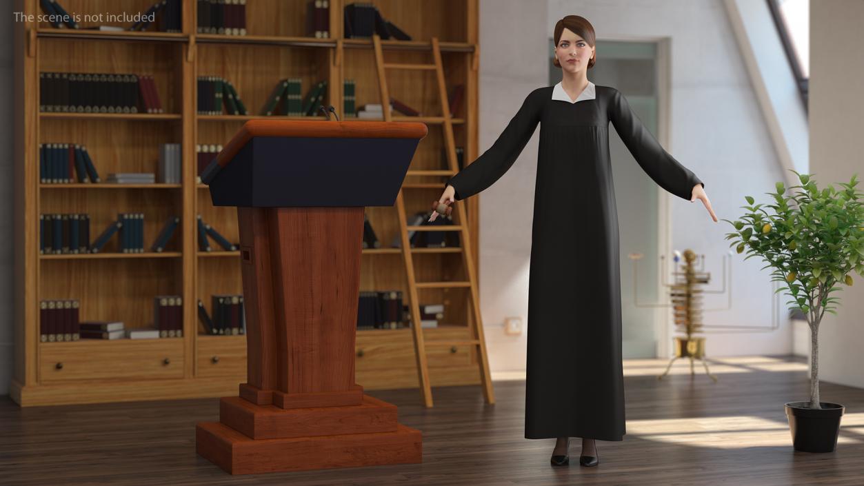 Judicial Robe with Gavel 3D model