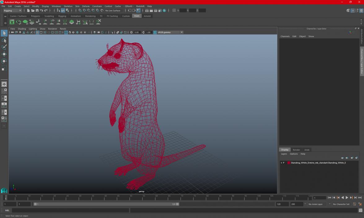 3D Standing White Ermine 2 model