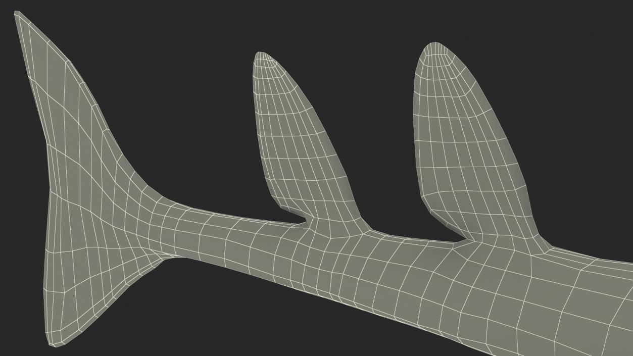 Angel Shark Rigged(1)(1) 3D model