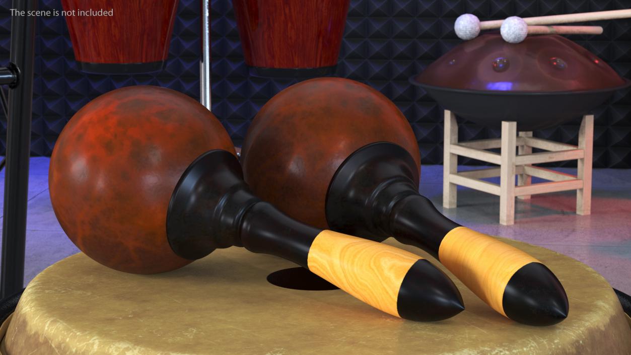 3D Maracas Musical Instrument