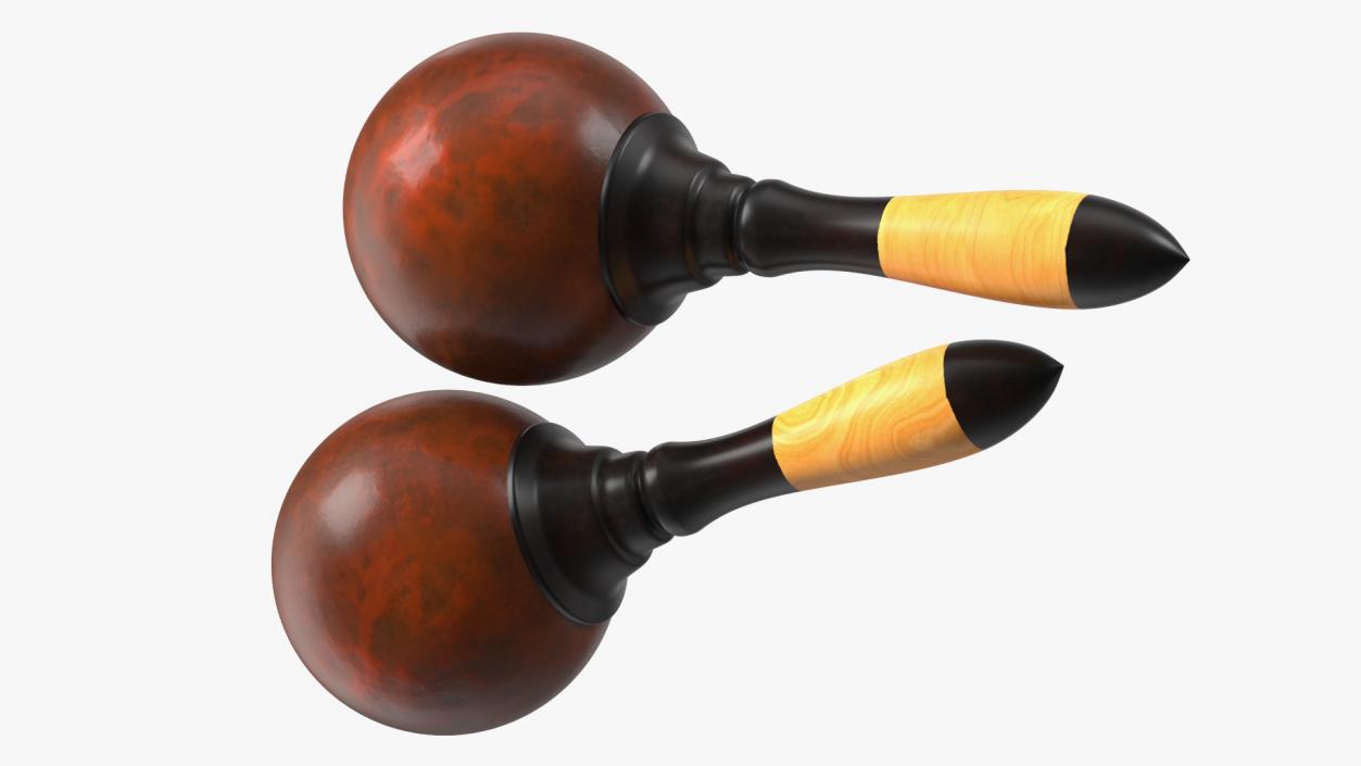 3D Maracas Musical Instrument