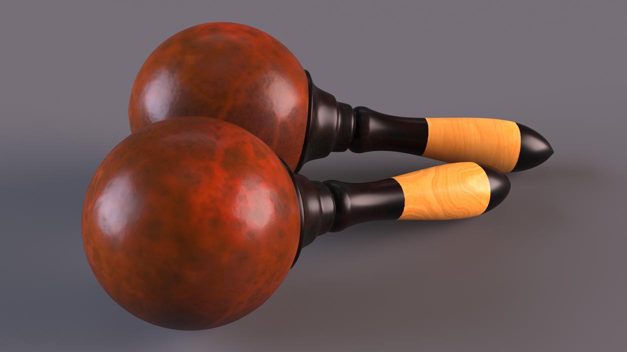 3D Maracas Musical Instrument