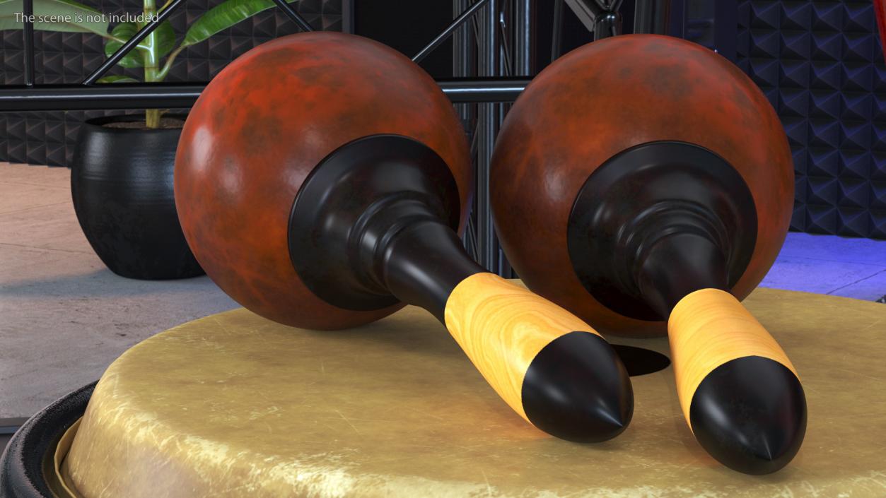 3D Maracas Musical Instrument