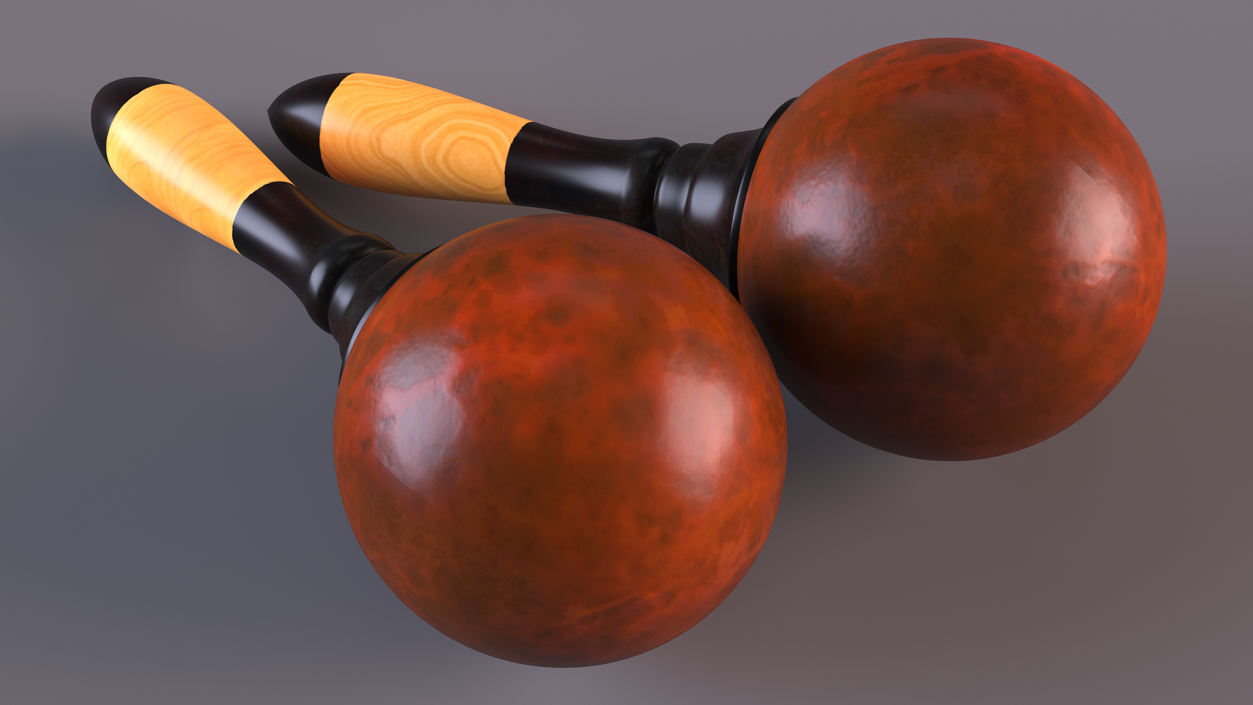 3D Maracas Musical Instrument