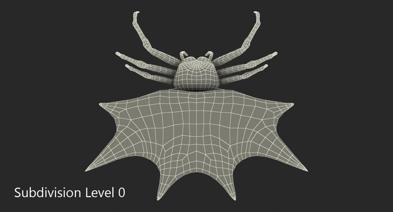 Spiny Orb Weaver Spider with Fur 3D