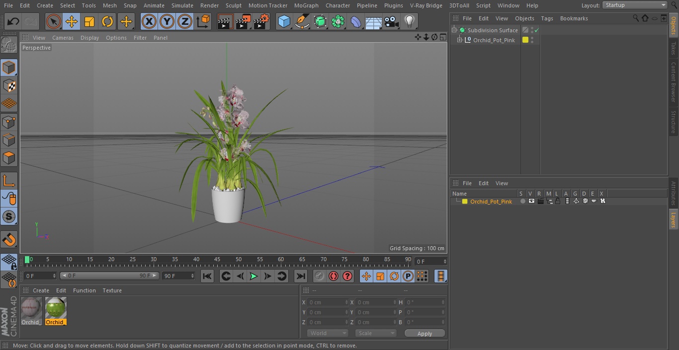 3D model Orchid Pot Pink