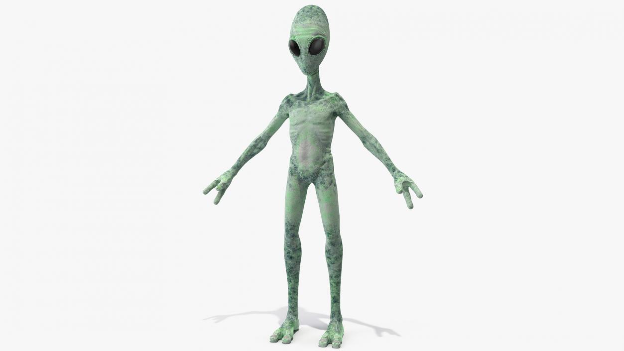 Green Alien Neutral Pose 3D model