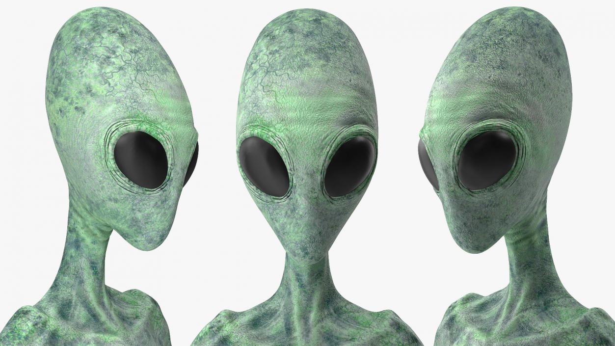 Green Alien Neutral Pose 3D model