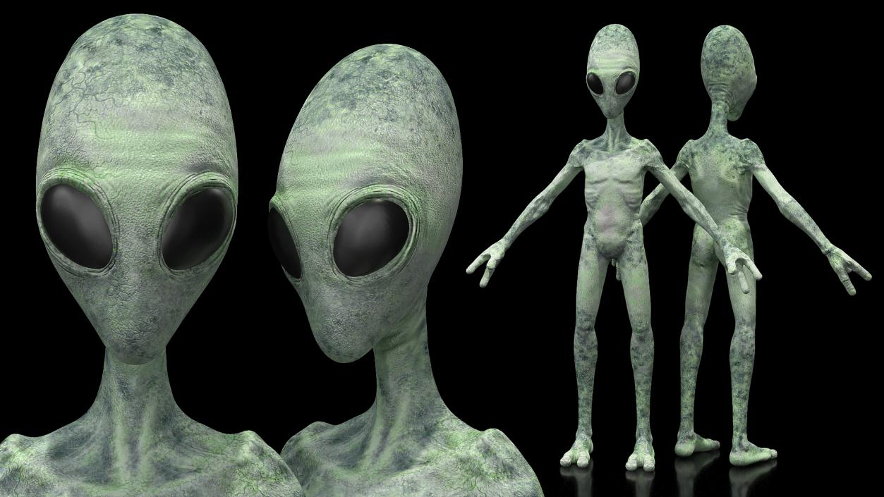 Green Alien Neutral Pose 3D model