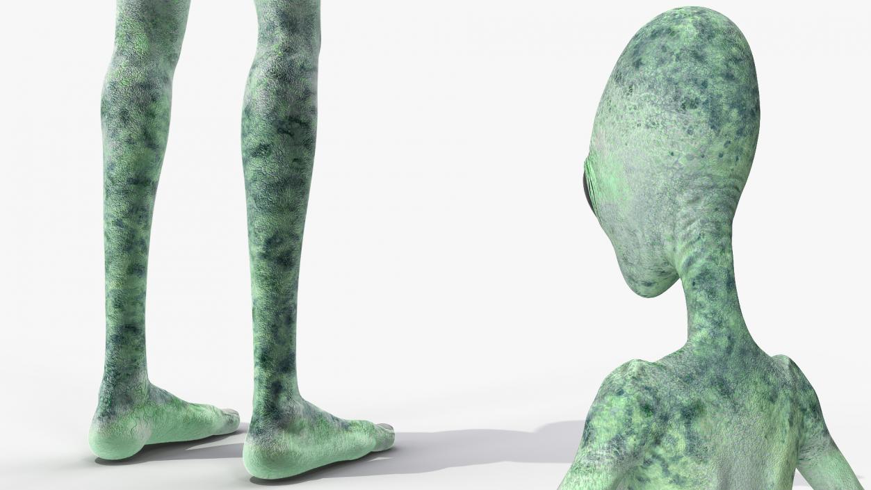 Green Alien Neutral Pose 3D model