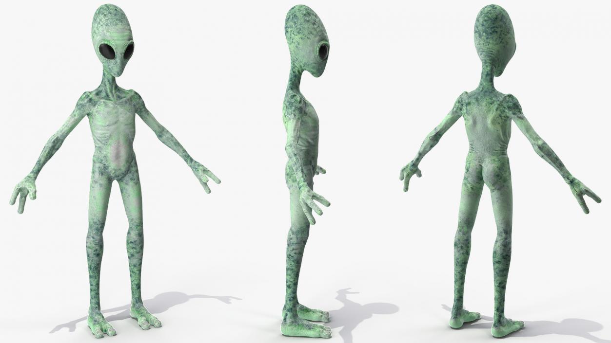 Green Alien Neutral Pose 3D model