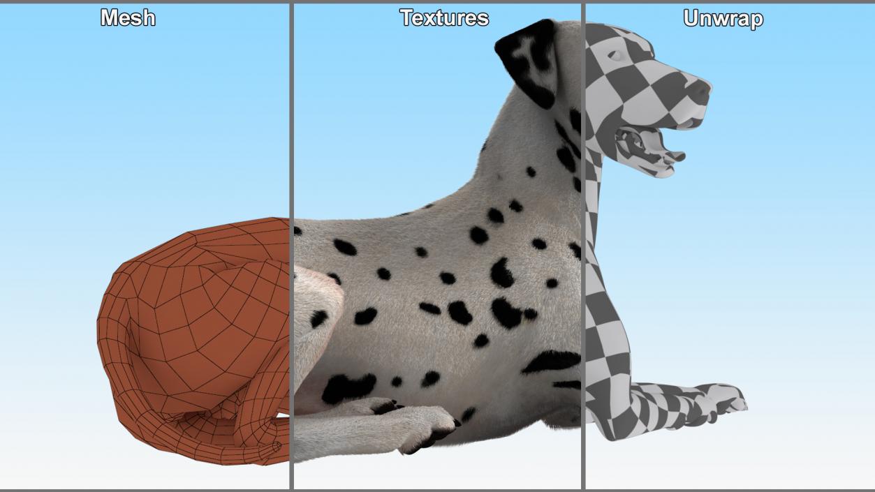 3D model Lying Dalmatian Dog Fur 2