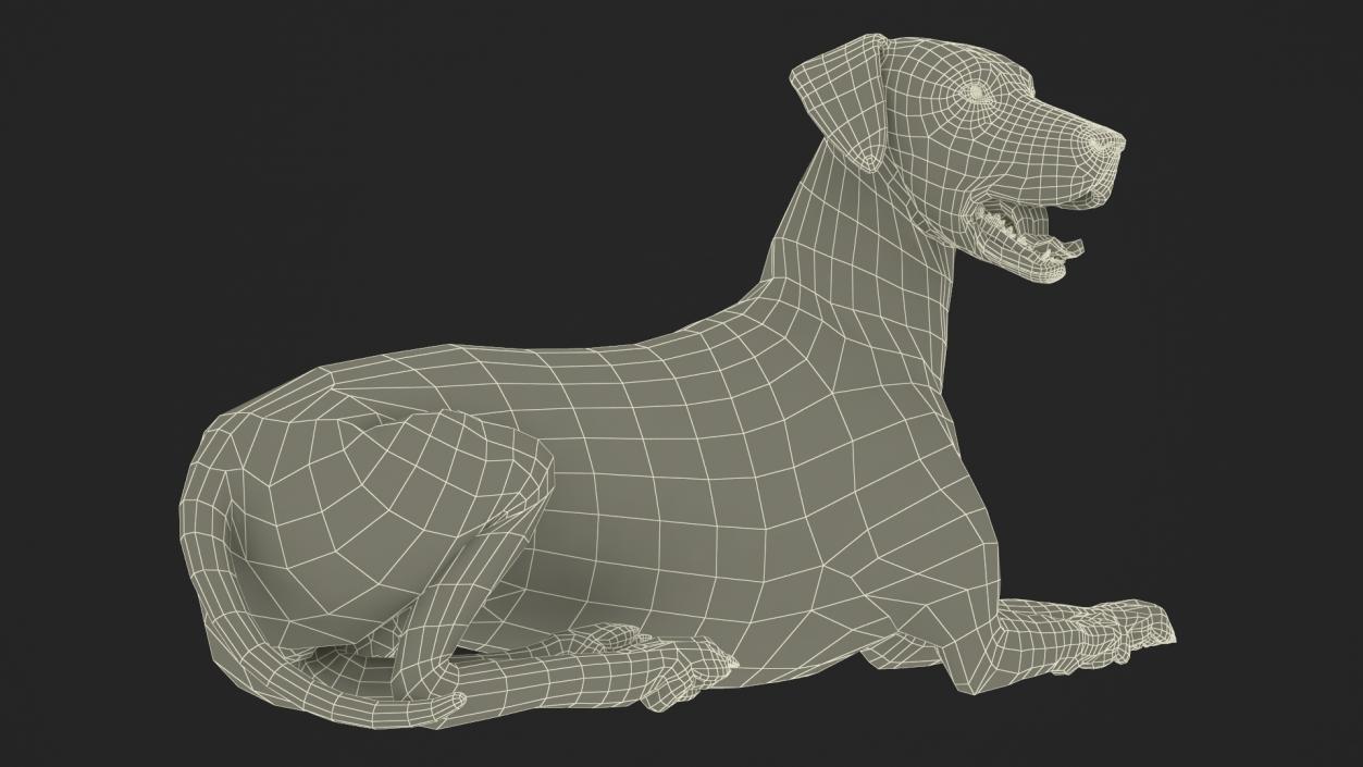 3D model Lying Dalmatian Dog Fur 2