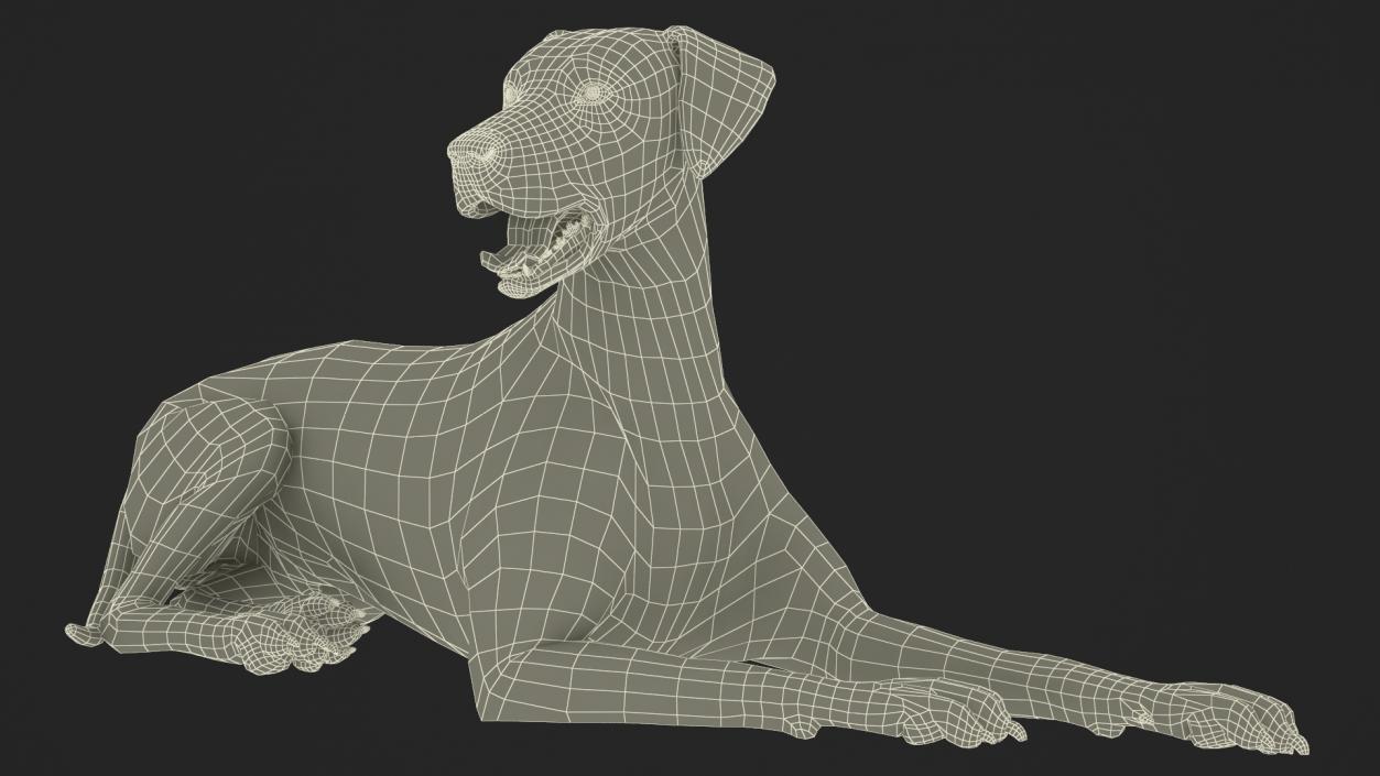 3D model Lying Dalmatian Dog Fur 2