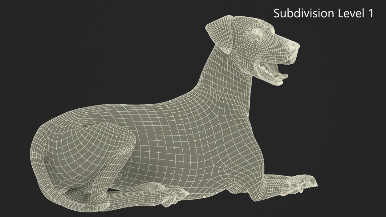 3D model Lying Dalmatian Dog Fur 2