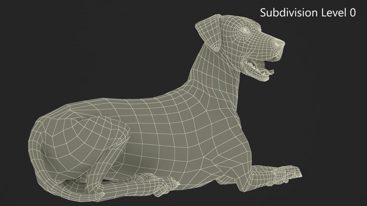 3D model Lying Dalmatian Dog Fur 2