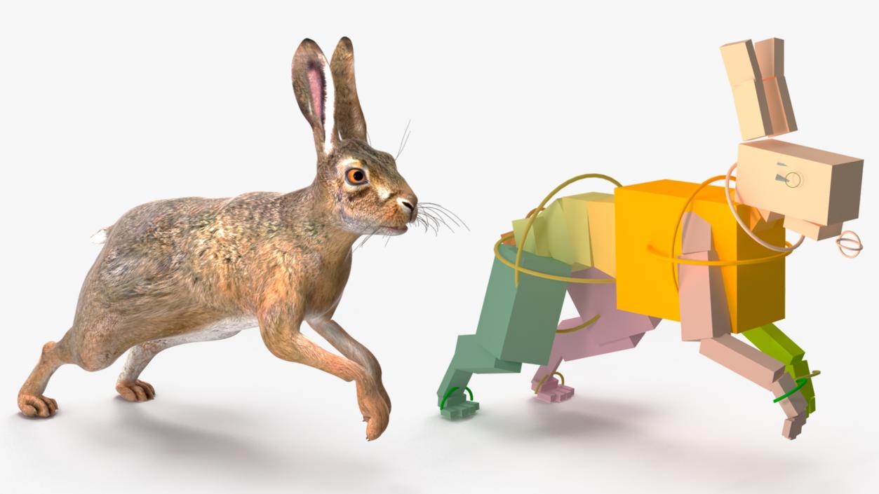 3D model Hare  Animated Rigged for Cinema 4D