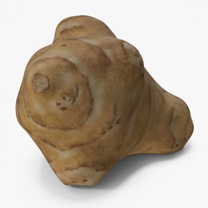 Jerusalem Artichoke 3D model