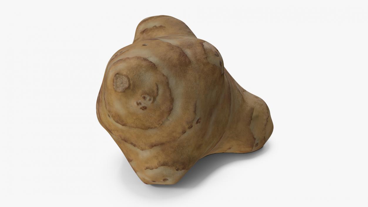 Jerusalem Artichoke 3D model