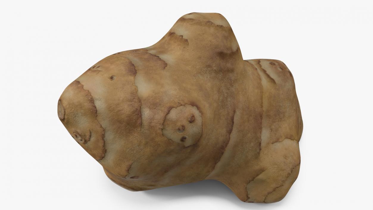 Jerusalem Artichoke 3D model