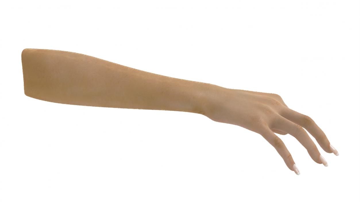 3D Woman Hand OK Pose model