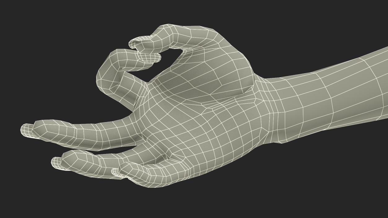 3D Woman Hand OK Pose model