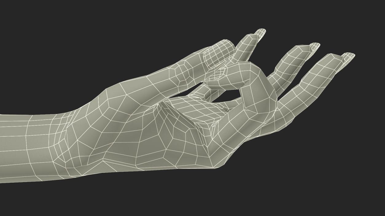 3D Woman Hand OK Pose model