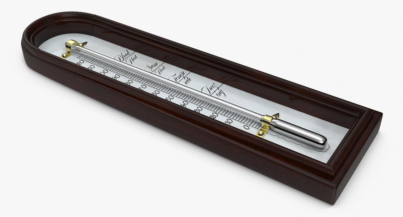 Antique Thermometer 3D model