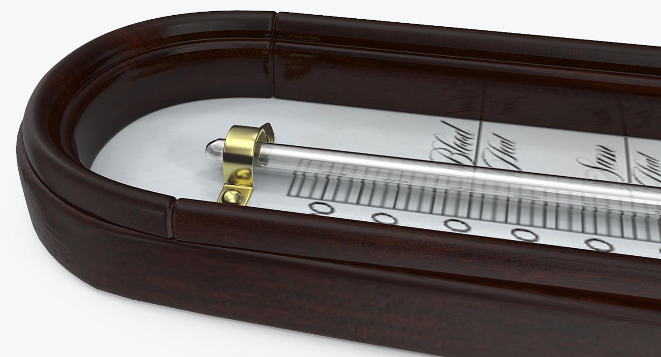 Antique Thermometer 3D model